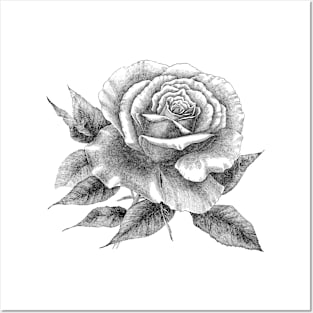 Rose Flower Tattoo Style Black and White Illustration Posters and Art